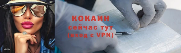 mdpv Богородицк